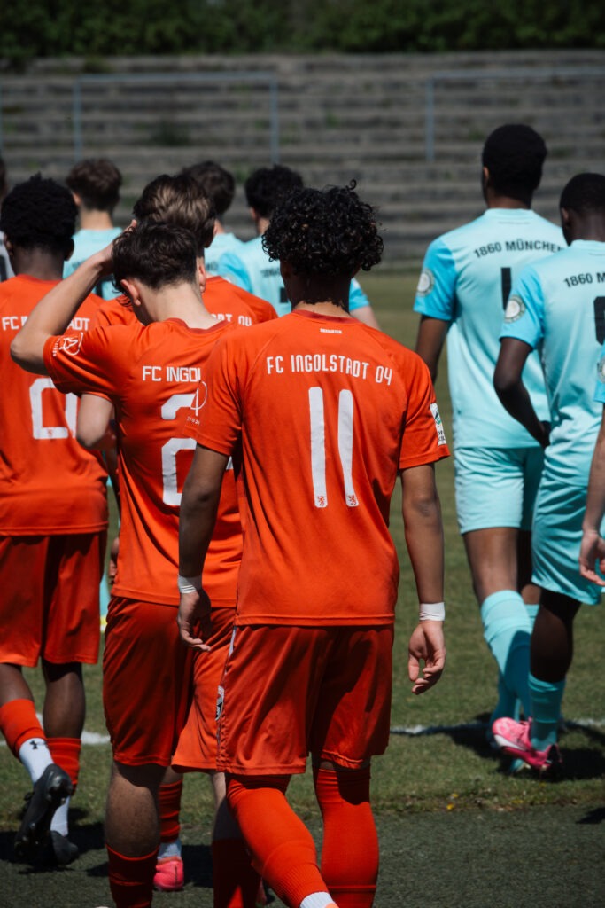 ingolstadt (10 of 485)